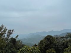 -广州市石门国家森林公园