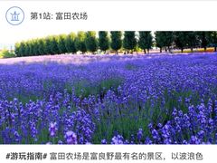 -富田农场