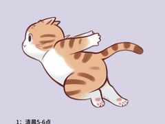 -翊宠yipet猫狗购宠庄园犬舍•猫舍