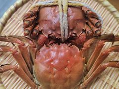 -丫丫蟹庄·苏式园林农家乐·阳澄湖大闸蟹(阳澄湖莲花岛店)