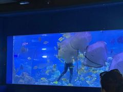-重庆欢乐海底世界