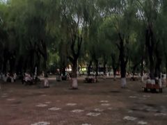 -建国公园