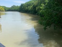 -大湾区中央湿地公园