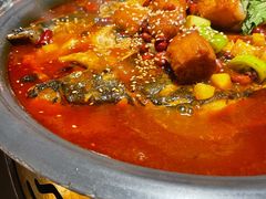 -探鱼·鲜青椒爽麻烤鱼(西南商都店)