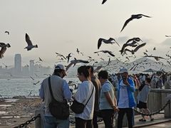 -星海广场