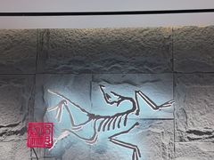 -ARC'TERYX始祖鸟(北京王府中环店)