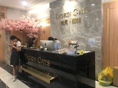 -袖虎·猫馆(体育西路店)