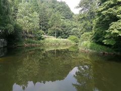 -洛阳白云山景区