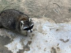 -杭州野生动物世界