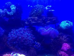 -多彩贵州城极地海洋世界