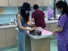 -北京观赏动物医院·24小时大型综合·猫专科·异宠专科