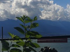 -野菌皇海景野生菌火锅(滨海大道店)