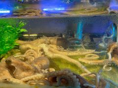 -V-ONE西雅图海鲜自助餐厅(仓山万达广场店)