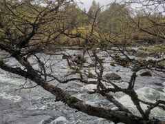 -洮儿河国家湿地公园