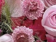 -海马体照相馆(海口日月广场店)