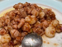 -丁老爷子苏香圆