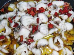 -金三可市井水煮鱼(金碧园店)