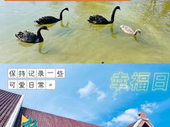 -齐齐哈尔龙沙动植物园