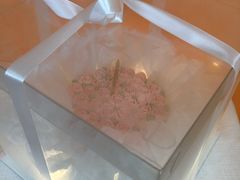 -悟空叔叔蛋糕定制·DIY(德思勤店)