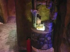 -醉小酒馆·川菜·江湖菜·重庆菜(观音桥旗舰店)