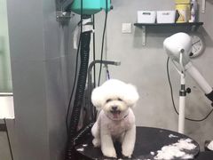 -PETKIT小佩宠物(昭化店)