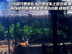 -海南热带野生动植物园