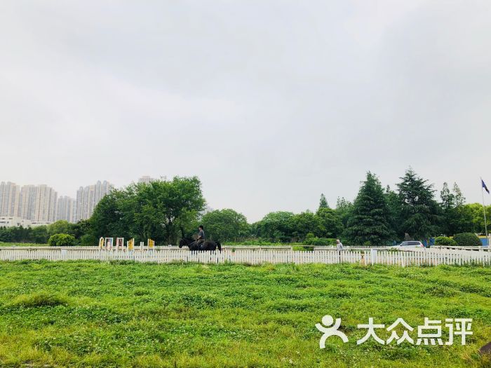 图片-上海运动健身-大众点评网