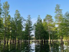 -白鹭湾湿地公园