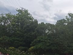-美的鹭湖森林度假区