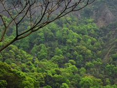 -雁荡山灵峰景区