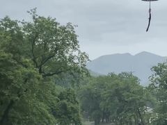 -鹿亭中村