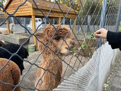 -长白岛森林公园