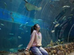 -华夏文旅海洋公园