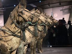 -秦始皇帝陵博物院-丽山园