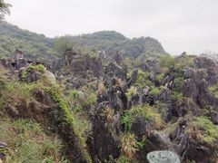 -玉石林风景区