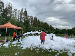 -前小桔亲子创意农场·草莓采摘·露营烧烤