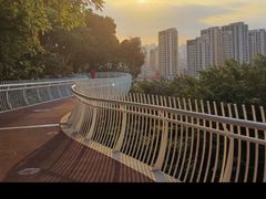 -金鸡山公园