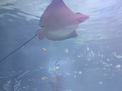 -常州海昌海洋探索馆