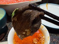 -一斗火锅·招财羊毛肚(泰吉滨江店)