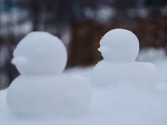 -长春市南湖公园