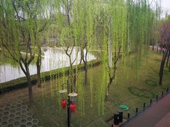 -招商银行(西安分行)