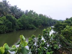 -沙美村