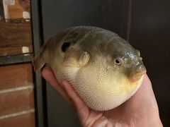 -永安鱼庄·镇江菜(丁卯店)