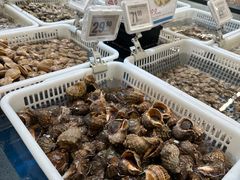-盒马X会员店(王府井奥莱UP TOWN店)
