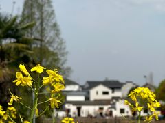-清漾毛氏文化村