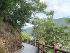 -羚羊峡古栈道森林公园