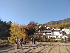-塔川景区