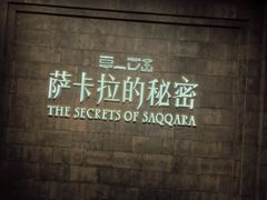 -上海博物馆(人民广场馆)