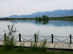 -野鸭湖国家湿地公园