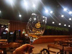 -紫轩葡萄酒庄园
